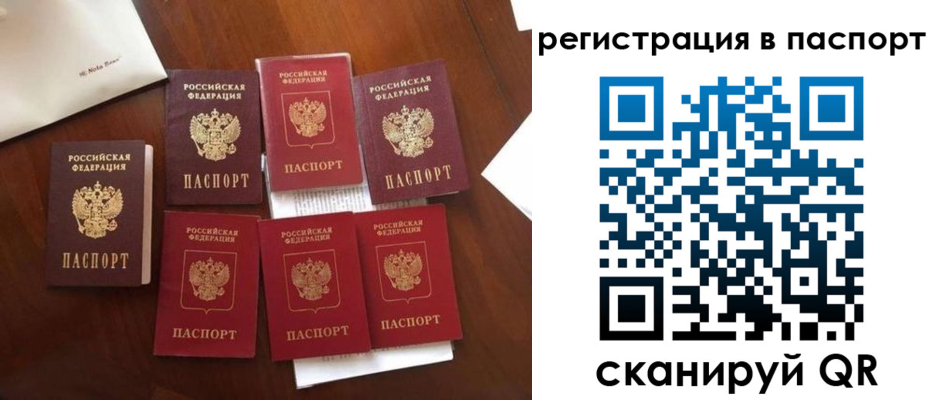 регистрация для школы в Брянске